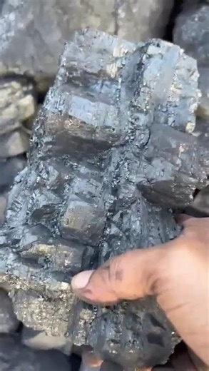 Jamunia Coal | Available on IndiaMART