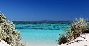 6 Things You Need to Know About Swimming With Whale Sharks at Ningaloo Reef