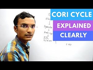 Cori Cycle | Biochemistry