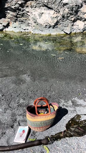 Isabelle (@isabelllemadeleine)’s videos with Step - Vampire Weekend