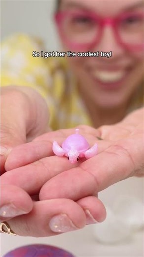 Meet Our Pet Turtle! 🐢💚