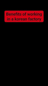 22K views · 392 reactions | Benefits of working in a korean factory #fypシ #reels #factory #work #trend @topfans | lolonation | Facebook