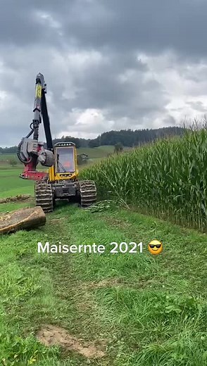 @mathiasstraub 🇨🇭 Maisernte 🌽 2021