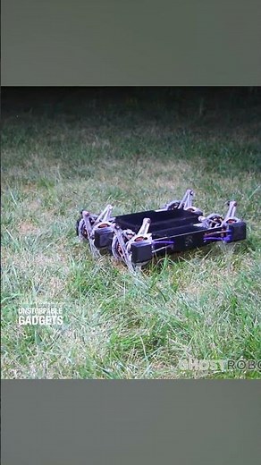 This four-legged friend has a direct drive