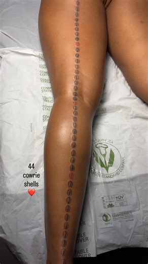 Syd 🌞 • Chicago Tattoo Artist on Instagram: "44 cowrie shells for Bree ❤️ 44 is an important number to this client and it's crazy bc I have 44 in my studio's unit number 😩 talk about alignment and divine timing 👏🏾👏🏾 Ty for seeing me and i am so grateful you trusted me with bringing this vision to life 🥹 it was a pleasure to make this for you!!! #chicagotattooartist #chicagotattoo #blacktattooartist #designbysyd"