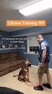 How To Start Clicker Training #dogtraining #dogtrainer #positivedogtraining #forcefreedogtraining #dogtrainingtips #dogtraininglife #dogbehavior #dogobedience #obediencetraining #trainyourdog #rewardbasedtraining #dogtrainersofinstagram #dogtrainingjourney #dogtrainingadvice #boardandtrain #BestBuddyDogTrainer #MarylandDogTrainer #SouthernMarylandDogs #dogtrainingacademy #inhomeobediencetraining #dogtrainingprogram #dogtrainingclass #dogtrainers #dogtrainingvideos #dogtrainingcommunity #dogtrain