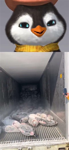 A Whole Container Full of Frozen Fish!