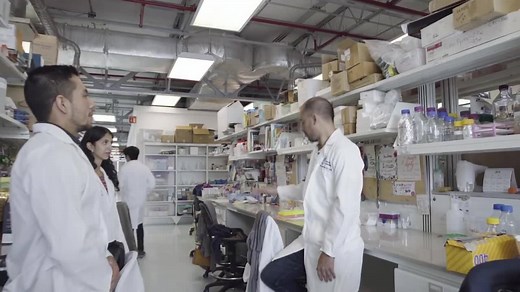 El modelo Tec21 permite a los alumnos adquirir diferentes experiencias para definir lo que les gusta y lo que no les gusta. Al final, lo que ellos tienen que ser, es ser felices”. Daniel Guajardo. Dale play ▶ para escuchar el mensaje completo de uno de nuestros Profesores. #SomosTec https://bit.ly/2TEu3hO | Tecnológico de Monterrey