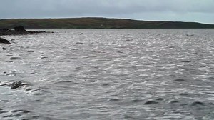 1.5K views · 75 reactions | Should you be so fortunate to visit the lovely community of Cold Bay and Izembek National Wildlife Refuge, the salmon jumping are music to one's ears and a sight to behold! | USFWS Alaska Fisheries and Habitat | Facebook