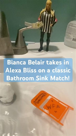 The Classic Bathroom Sink Match! #wwe #shorts #women