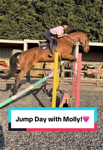 Jump the horses with me & @molly & the greys 😜 If you’re interested in any of the horses for sale please get in touch via Instagram Lily.equestrian or lc.equestriansales or on my FB page LC Equestrian!