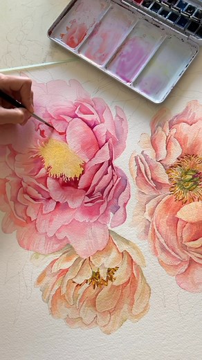 131K views · 5.5K reactions | Peonies in #watercolor 李 #watercolortips #aquarelle #myart #paintingtutorial #drawingprocess #paintingwithlight #watercolorpractice #рисование #watercolorart #watercolorflowers #drawingart #painting #watercolorart #floralartwork #floralartist #watercolorpainting #howtodraw #drawingtutorial #drawingart #aquarelleartist | Anna Pole.artist | Facebook