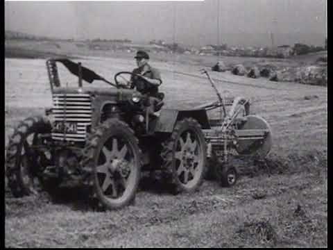 Historische Landwirtschaft: Wir fahren ins Heu (Wie Heuwerbung früher funktionierte)