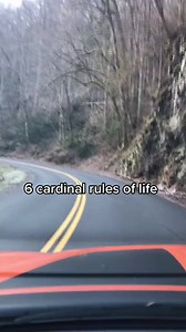 61K views · 2.3K reactions | Cardinal rules of life! Simple rules if you can follow them #cardinal #Rules #life #fbreels | Mitch Mullins | Facebook