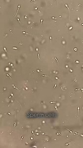 We all passed through this level of life 😂😂 | Lab life