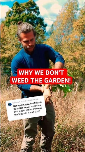Stop Pulling Weeds Wrong! Try This Trick