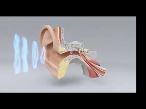DSP with FiR filters