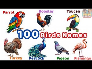 100 Birds Name for Kids 🐦| Bird names |Learn Birds Name with Pictures | #birds #learn #kids #names