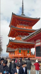 2026년 8월 탄뎀여행 | 일본 문화탐방 ✈️✈️