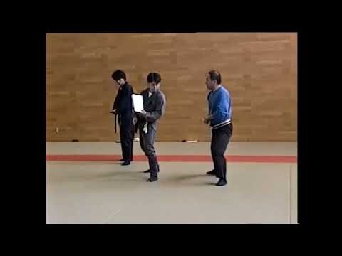 Manaka Unsui (ex Bujinkan) - Tanto kamae