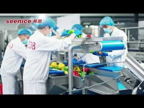 SEENICE Whole Vegetable Cleaning Line - Full Process | SEENICE Vegetable Cleaning Line in Action!