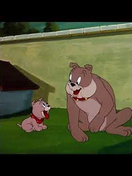 Tom & Jerry S1950E30 That's My Pup 1 #tomandjerryshorts #shorts