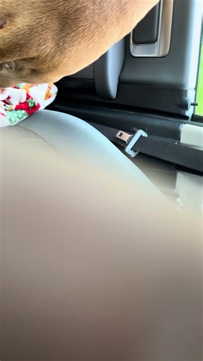 NEED HELP!!! 2014 RAM 1500 rattle while accelerating while towing camper