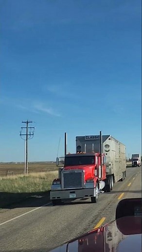 classic freightliner fld 120 cattle hauler