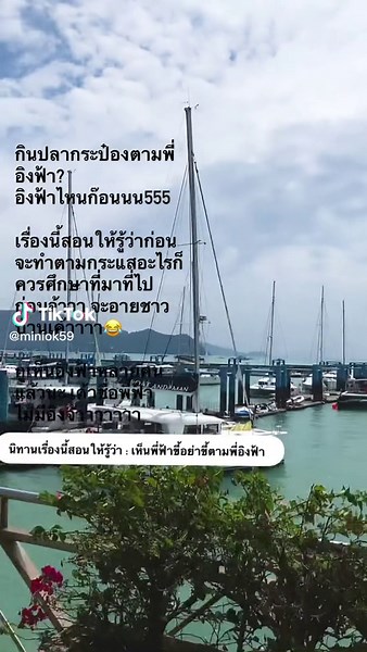 เอาไรมาอิงฟ้า😂 #อิงฟ้าไม่ได้กินปลากระป๋อง #พี่ฟ้ากินปลากระป๋อง