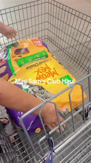 Mini Sam’s Club Haul 🛒. #samsclub #shopinghaul #momsoftiktok #momlife #neccessities