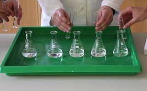 Study of an Iodine Clock Reaction