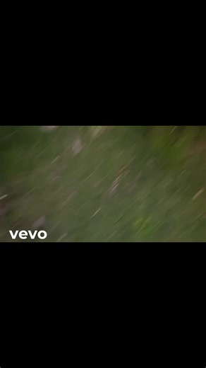 Join the AAC Trend Today!