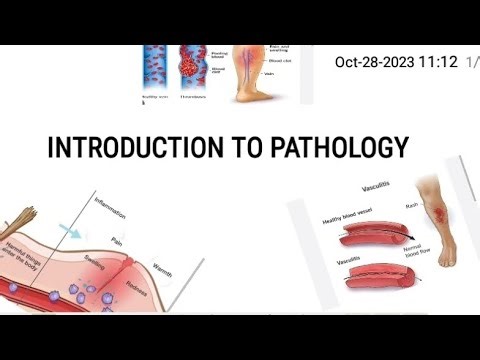 INTRODUCTION TO PATHOLOGY ( cell adaptation and 4 aspects of disease.)