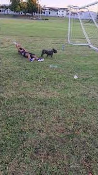 the boyz having a training break