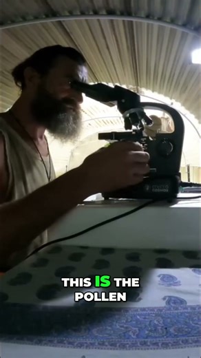 Looking at bees through a microscope? 🐝🔬