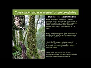 Conservation and management of rare bryophytes