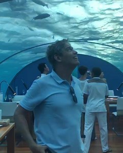 13K views · 625 reactions | Com ousadia, criatividade e muito trabalho, o ser humano é capaz de criar as experiências mais sensacionais, valorizando o que a Natureza já nos oferece. Vivi uma experiência assim em agosto. Imagine jantar literalmente debaixo d’água, no meio do oceano, cercado de tubarões. Foi exatamente a experiência que tive no primeiro restaurante submerso do mundo, o Ithaa. Sensacional! #maldivas #gratidao #destaquesdeagosto | Ricardo Amorim | Facebook