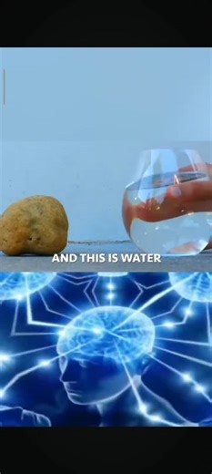 #fyp #randomvideo #voliamoneixte✈🦁🔝💯💥 #funnymemes