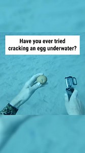 I know what I'll be doing on my next vacation 😮 | WTVideo