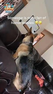 When the Puppy Watches Horror Movies 👀😱🐶