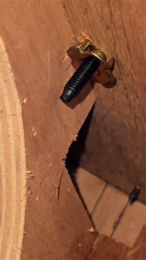 T-nut bolts bracket t24 installations #tutorial