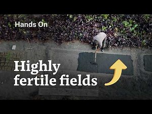 Saving Mexico City’s ancient floating farms