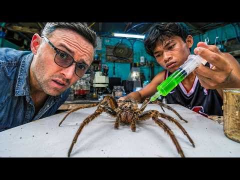 They're Fighting Spiders on Steroids in the Philippines