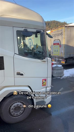 #pasiune #viraltiktok #bistrita #fy #real