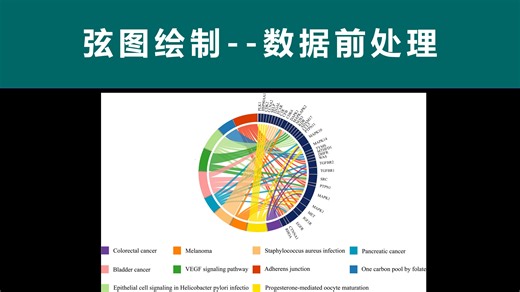 【数据预处理】charticulator在线绘制GO和KEGG弦图