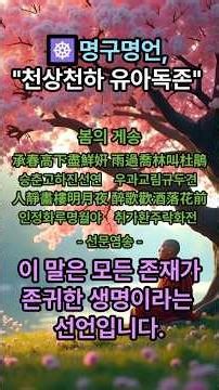 천상천하 유아독존 #부처님탄생#선문염송#불교지혜#깨달음#불교법문#마하반야바라밀#불교쇼츠#마음공부