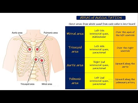 Areas of auscultation. Chapter 23 part 2. Guyton and Hall Physiology.