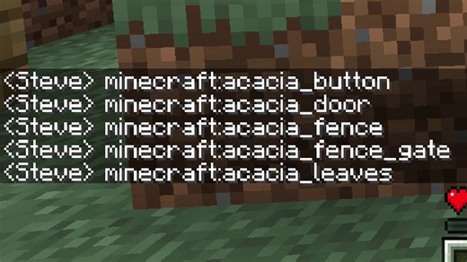 Minecraft Challenge – Name Every Entity