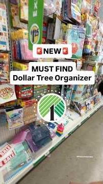 Dollar Tree MIST FIND Organization Box #dollartreefinds #dollartree #dollartreehaul