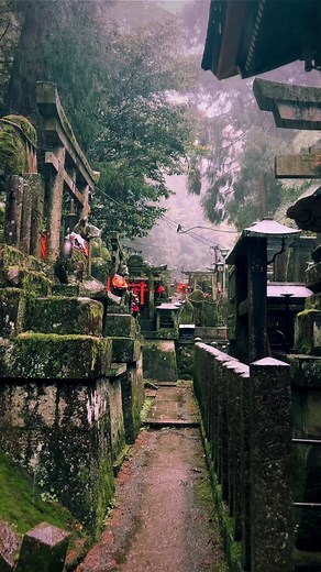 Fushimi Inari Shrine: A Journey Through Kyoto's Heritage